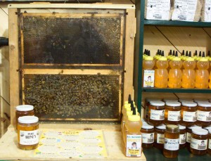 farm-mkt-bees-honey farm-mkt-bees-honey
