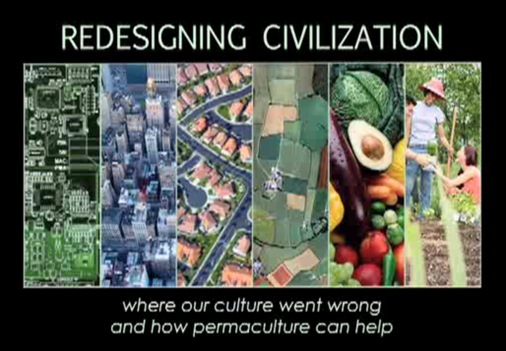 Screen Shot 2015-01-22 at 11.31.14 AM