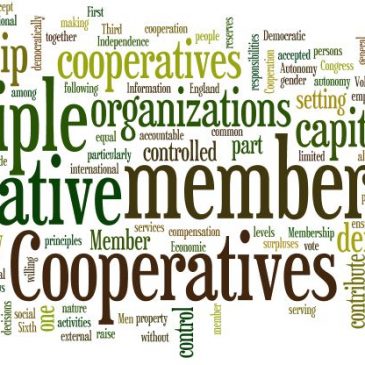 Cutting Edge Cooperatives